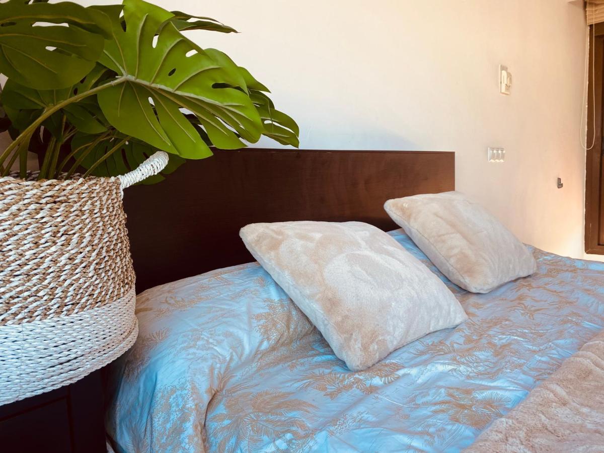 Lovely Triana Flat With Roof Terrace セビリア エクステリア 写真